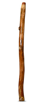 Brad Hagelstein Didgeridoo (BH056)